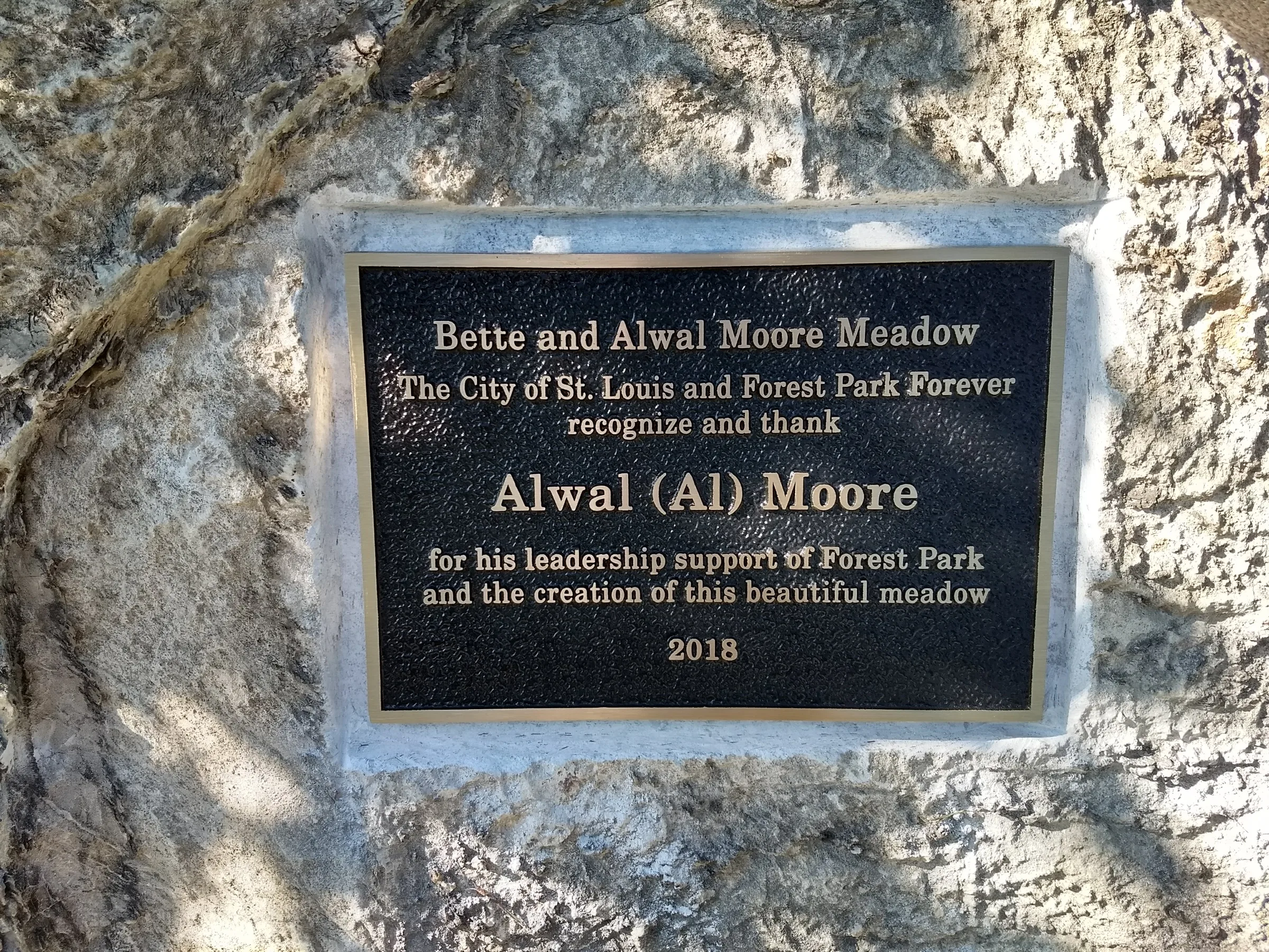 Custom plaque and installation project 16